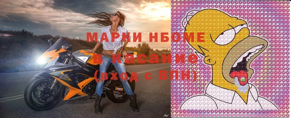 мдпв Ельня