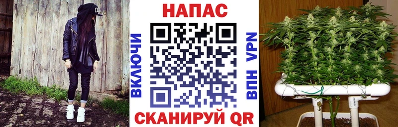 Марихуана ГИДРОПОН Чухлома